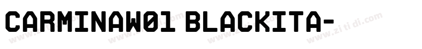 CarminaW01 BlackIta字体转换